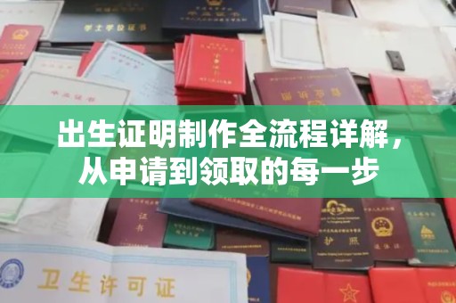 平桂出生证明制作全流程详解，从申请到领取的每一步