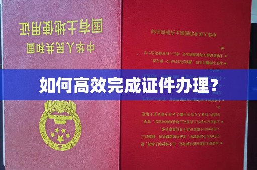 平桂如何高效完成证件办理？