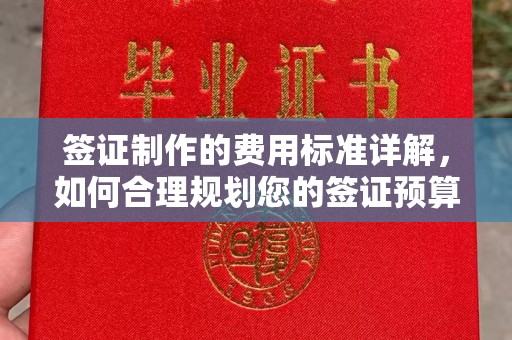 平桂签证制作的费用标准详解，如何合理规划您的签证预算