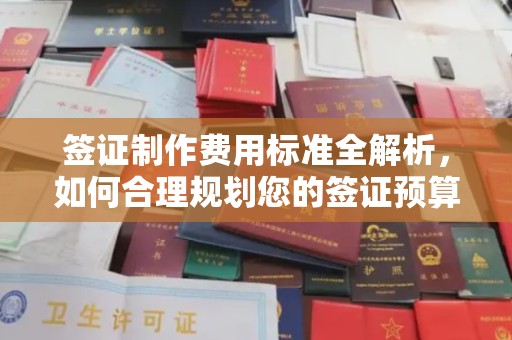 平桂签证制作费用标准全解析，如何合理规划您的签证预算？